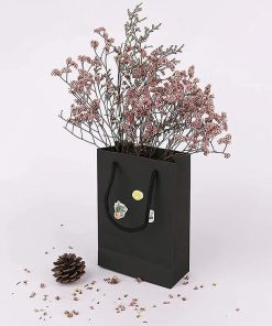 thiết kế túi giấy - in túi giấy đẹp