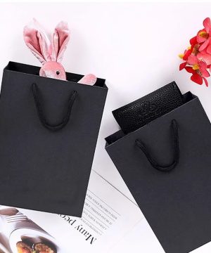 thiết kế túi giấy - in túi giấy đẹp