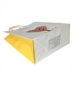 in túi giấy kraft - thiết kế túi giấy kraft