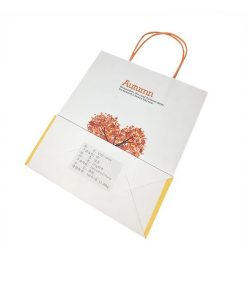 in túi giấy kraft - thiết kế túi giấy kraft