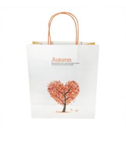 in túi giấy kraft - thiết kế túi giấy kraft