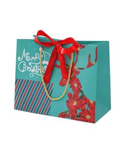 in túi giấy vĩnh phúc