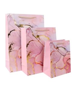 in túi giấy vĩnh phúc