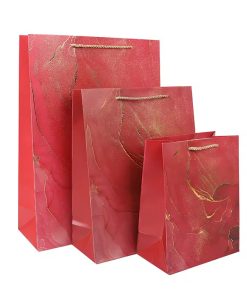 in túi giấy vĩnh phúc