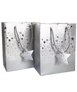 in túi giấy ép nhũ